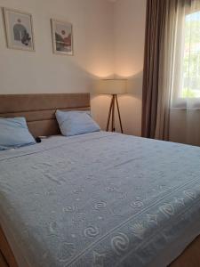 蒂瓦特Lux Apartment Jovanovic的一间卧室配有一张带蓝色棉被的床和窗户。