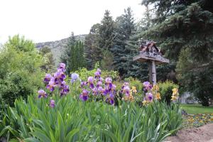利韦宁湖景旅馆的种有紫色花卉和鸟舍的花园