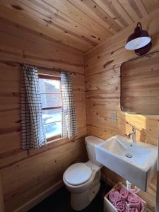 LaporteKona Kona Resort & Cabins的小木屋内的浴室设有卫生间和水槽。