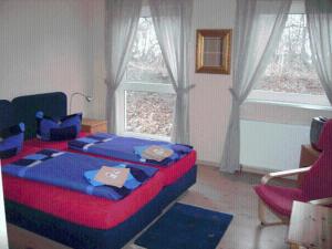 施特拉尔松德丹霍尔姆酒店的一间带床的卧室,位于带窗户的房间内