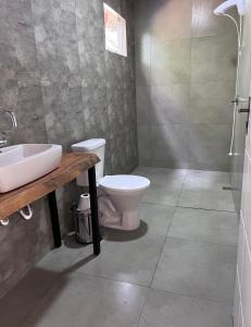 坎博里乌Sítio do Vô Pisco的浴室配有卫生间、盥洗盆和淋浴。