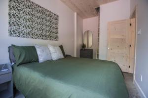 圣多纳特蒙卡尔姆Le Boréal的一间卧室配有绿色的床和镜子