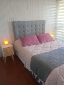 圣地亚哥圣地亚哥中心公寓的卧室配有一张带粉红色枕头的大床