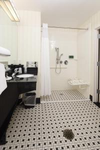 米尔维尔Fairfield Inn & Suites by Marriott Millville Vineland的带淋浴、盥洗盆和卫生间的浴室