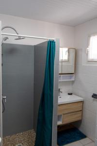 圣安娜La Villa Noémie - Parking - Proche des Plages的一间带蓝色淋浴帘的淋浴的浴室