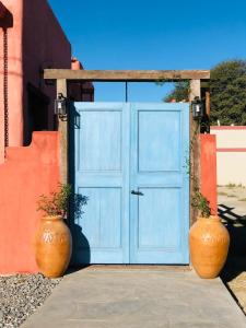 卡法亚特WAYTAY的两只大花瓶坐在一扇蓝色门前