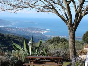 Santa-Maria-FiganiellaGîtes ruraux Aria Falcona的木凳,坐在树下,享有美景