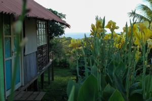 费尔南多 - 迪诺罗尼亚Palhoça da Colina的一座种有黄色花卉的房屋和花园