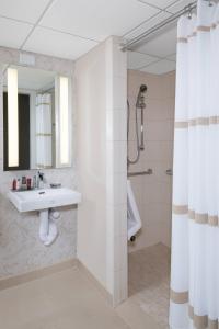 达拉姆达勒姆市中心万豪酒店的一间带水槽和淋浴的浴室