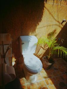 BacunganPlaya Paraiso Nagtabon Beach的坐于植物浴室内的厕所
