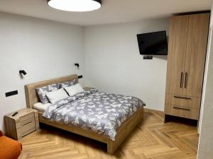 奈达Apartamentai KOPOS Nidoje的一间卧室配有一张床和一台平面电视