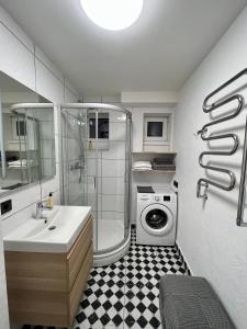 奈达Apartamentai KOPOS Nidoje的一间带水槽和洗衣机的浴室