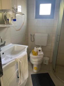 比哈奇Apartment Vila Tara的浴室配有卫生间、盥洗盆和淋浴。