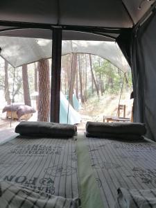 瓦尔纳Ecoclub的树林帐篷内的一张床位