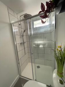 斯蒂夫尼奇Luxury One Bed Apartment Stevenage的一间带卫生间的浴室内的玻璃淋浴间