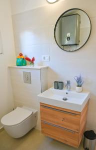 尼亚卢卡Apartment Leo Blue的一间带水槽、卫生间和镜子的浴室