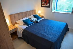 尼亚卢卡Apartment Leo Blue的一间卧室配有一张带蓝色床单的床和一扇窗户。