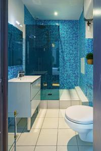巴黎卢浮宫公寓 - 沼泽的浴室设有卫生间和蓝色瓷砖淋浴。