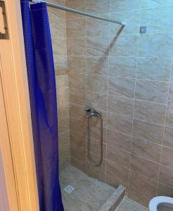 SatyГостевой дом KOLSAY ROOM的浴室内配有蓝色淋浴帘