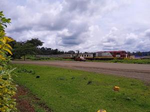KaratinaMWAHE RESORT的沿着草地旁边的公路行驶的火车