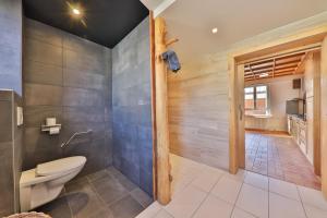 SondernachLocations des 3 sommets avec Sauna et Spa en Alsace的一间带卫生间和步入式淋浴间的浴室