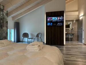 帕多瓦Royal Garden luxury rooms的一间卧室设有一张大床和一台平面电视。