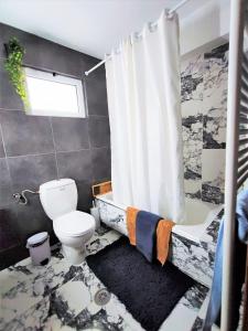 EvangelístriaArchontiko Kastellia的一间带卫生间和淋浴帘的浴室