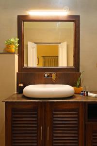 乌代浦The Cavalry - Abhay Niwas的浴室水槽和上面的大镜子