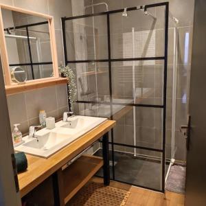蒙布里松appart cosy,calme à 2 pas du centre de montbrison的一间带水槽和玻璃淋浴的浴室