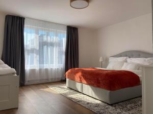 梅图耶河畔特普利采Apartmán Teplice nad Metují的一间卧室设有一张床和一个大窗户