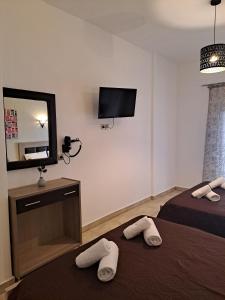 萨尔蒂Black Rose的酒店客房设有两张床和电视。
