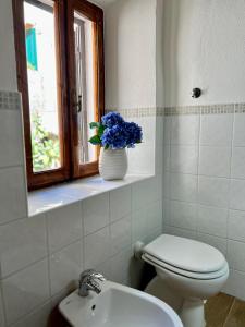里奥内莱尔巴NUOVO Luminoso a 100 passi dalla piazza的浴室设有卫生间和蓝色花卉花瓶。