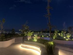 基多Espectacular departamento con vista a la Carolina的花园在晚上设有长凳和灯光