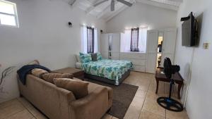洛尼湾村Caribbean Dream Vacation Property CD3的客厅配有沙发和1张床