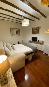 钦奇利亚德蒙特-阿拉贡La Posada de Chinchilla的一间卧室,卧室内配有一张大床