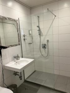 阿尔腾斯塔特加尼伊莱特酒店 的一间带水槽和淋浴的浴室