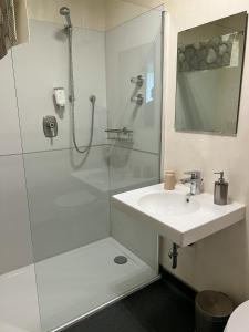 阿尔腾斯塔特加尼伊莱特酒店 的带淋浴和盥洗盆的白色浴室