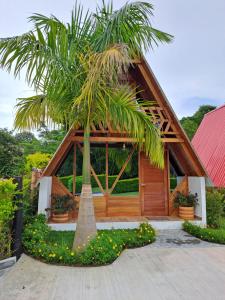 圣奥古斯丁Cabañas Amalú的前面有一棵棕榈树的小房子