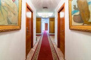 科尔多瓦里亚德阿鲁扎法酒店的墙上挂有画作的走廊和红地毯