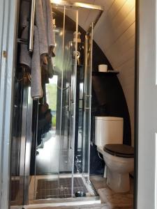 金洛赫利文Nevis Pod, West Highland Way Holidays的一间带卫生间的浴室内的玻璃淋浴间