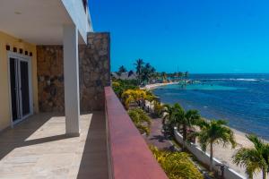Dixon CoveLas Palmas Beach Hotel的从度假村的阳台上可欣赏到海滩景色