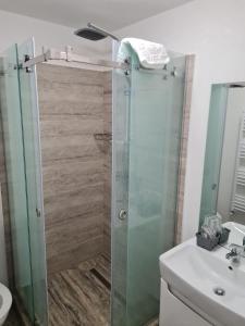 OrlatCasa Munty的一间带玻璃淋浴和水槽的浴室