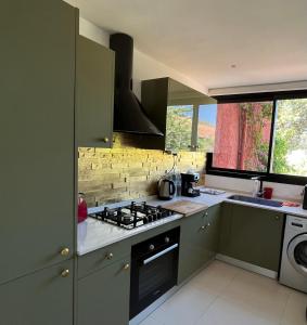 奥比丹Atlas AGUELMAM的厨房配有绿色橱柜和炉灶。 顶部烤箱