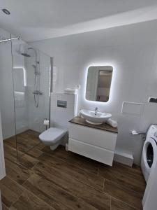格但斯克Apartament w sercu Oliwy的一间带水槽、卫生间和淋浴的浴室