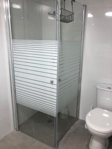 提比里亚LTD Hadas Garden apartment的设有带卫生间的浴室内的淋浴间