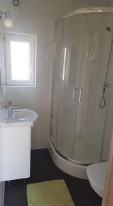 萨比诺瓦Domki Ewa的带淋浴和盥洗盆的浴室