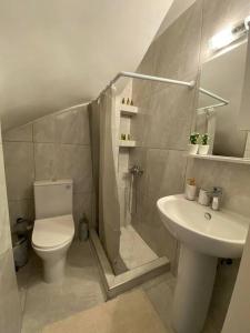 依克希亚Magio House的浴室配有卫生间、淋浴和盥洗盆。