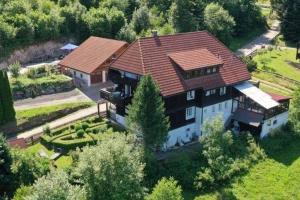 Dachsberg im SchwarzwaldCozy holiday apartment in the Black Forest的享有带屋顶的大房子的空中景致