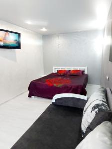 尼古拉耶夫Lux apartment Sadovaya street的一间卧室配有一张床和一台平面电视