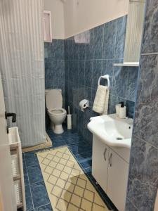 波德戈里察Serenity City Centre的一间带卫生间和水槽的浴室